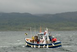 culter3 ss09 sat rmc 8834